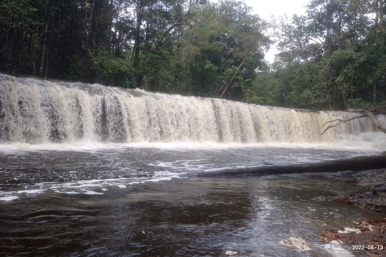 Amazon Juma Survival Tour - 4 dagar av djungelupplevelseÖverlevnadstur i Amazonas djungel i Juma-reservatet - 4 dagars tur