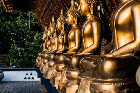 Sri Lanka: 9-Day Beach and Relaxation Tour with Transfers Excluding Hotels in a private Car