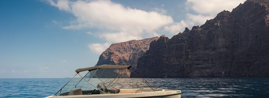 Excursion en bateau de luxe à Los Gigantes