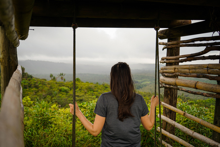 Maurice : randonnée guidée dans les gorges de la Rivière NoireMaurice : Randonnée guidée dans les gorges de la Rivière Noire
