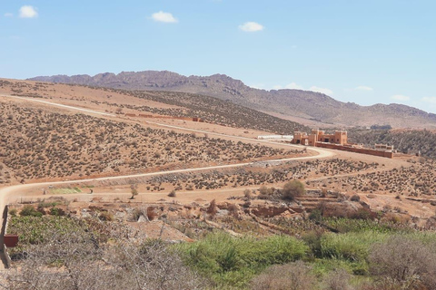 Pequeño viaje al desiertopequeño viaje al desierto