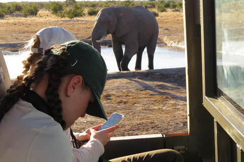 Cataratas Victoria, Hwange y Chobe: safari económico de 7 días
