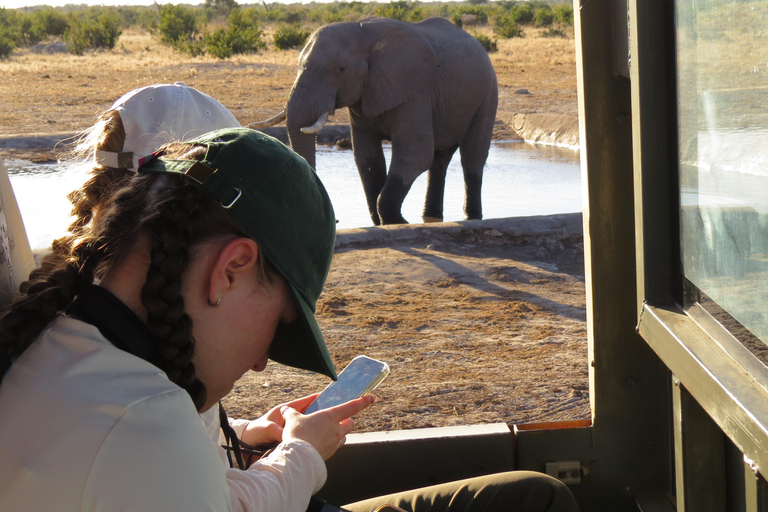 Cataratas Victoria, Hwange y Chobe: safari económico de 7 días