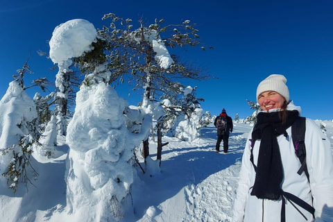 Riisitunturi National Park. Posio: Excursions to Riisitunturi National Park.