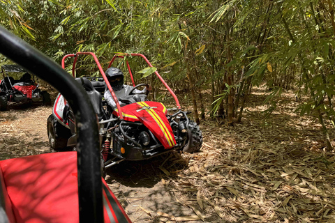 Bamboo Dune Buggy Tour