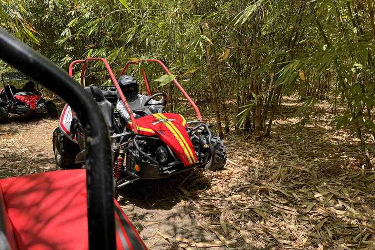 Bamboo Dune Buggy Tour
