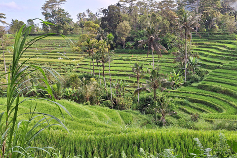 Sidemen Trekking: A Walk from Different Perspective