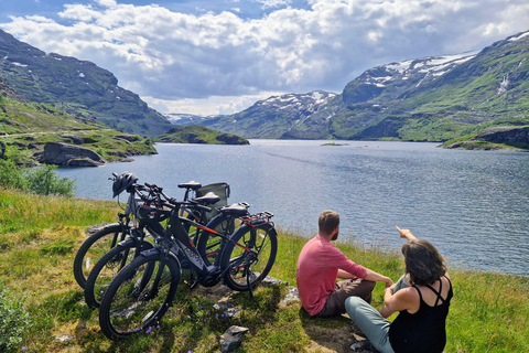 Guided, electric bicycle tour from Vatnahalsen (near Flam) Guided e-bike tour from Vatnahalsen (Myrdal) - Rallarvegen