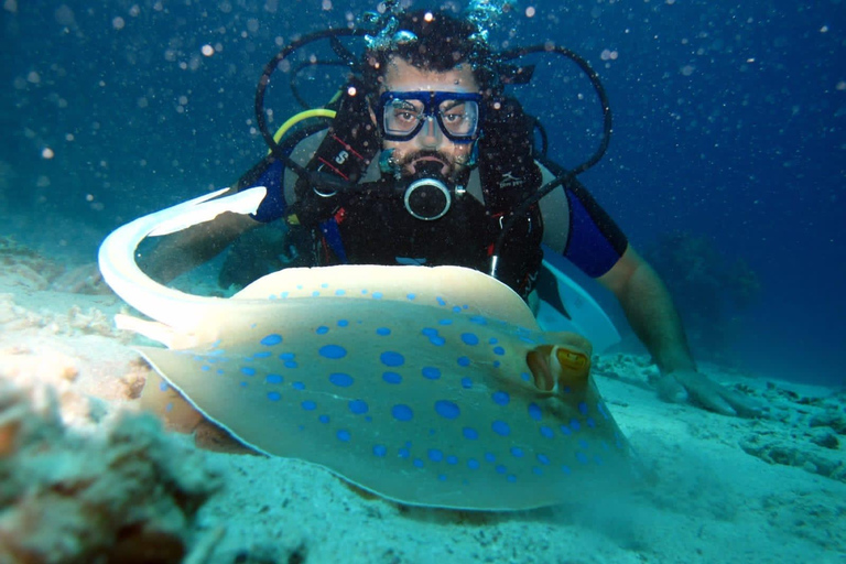 Vanuit Sharm El-Sheikh: Ras Mohammed snorkeltripRas Mohammed en witte eiland cruise