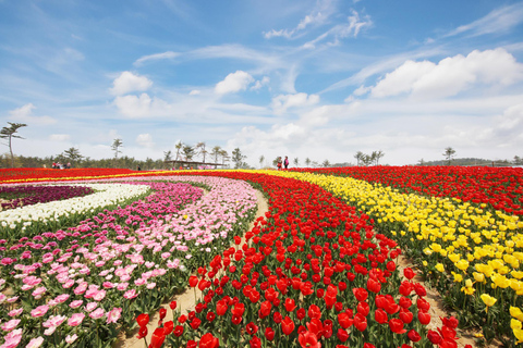Seoul: Taean Tulip Festival and Strawberry Picking Day Tour Shared Tour, Meet at Dongdaemun