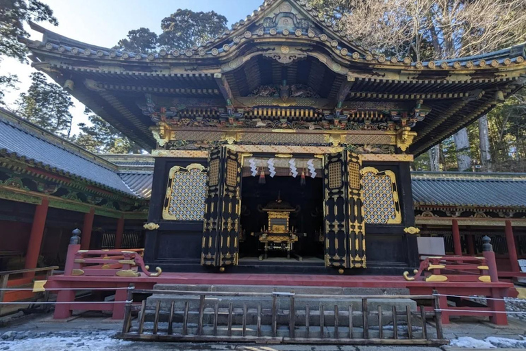 Tokyo: City Full-Day Private Customizable Best Places Tour