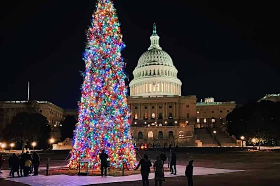 Weihnachtslichter & nächtliche Tour mit 10+ Stopps, Ticketoptionen. Foto: GetYourGuide Weihnachtslichter & nächtliche Tour mit 10+ Stopps, Ticketoptionen. Foto: GetYourGuide