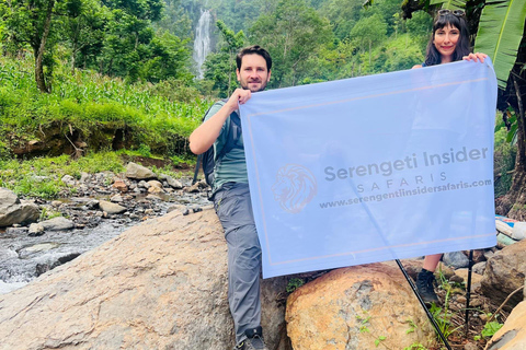 阿鲁沙：3日塔兰吉雷与恩戈罗恩戈罗火山口Safari之旅