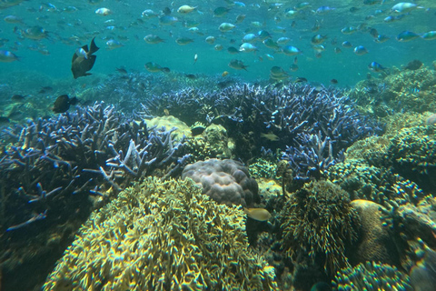 Lombok Private Snorkeling: Hidden Southwest 5 Gili Islands Lombok: Private Snorkeling Gili Asahan (5 Gilis) + Lunch