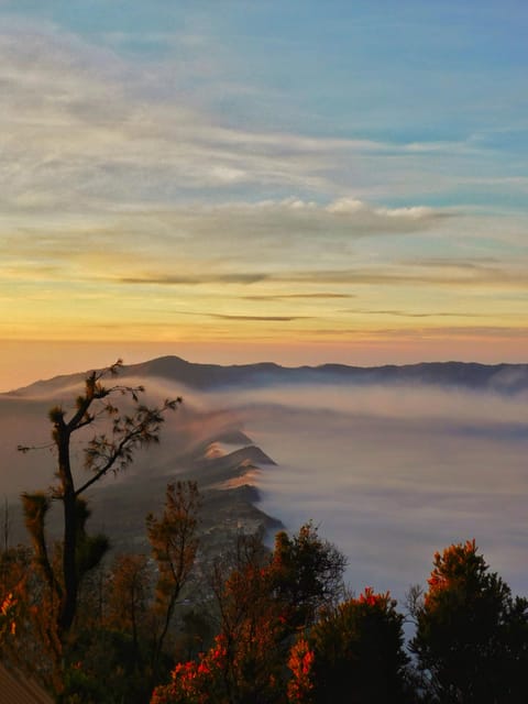 Bromo Vulkan Ijen Blaues Feuer Reise D N Getyourguide