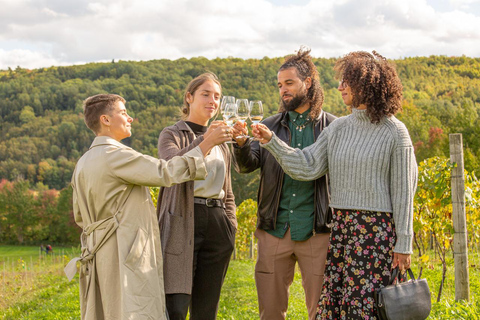 Tour enológico por el valle de Annapolis, en Nueva Escocia, dirigido por un sumiller.Tour enológico por el valle de Annapolis, en Nueva Escocia, dirigido por un sumiller