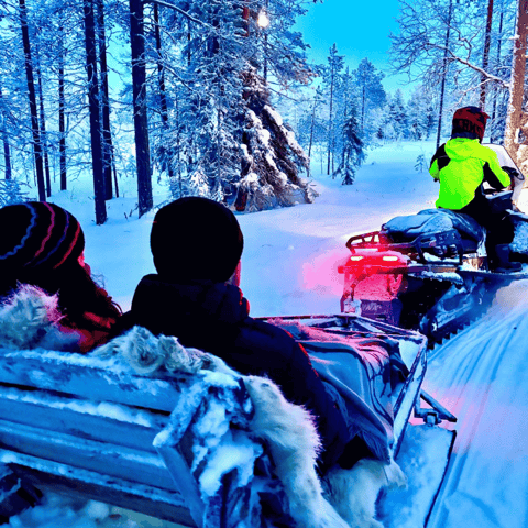 Rovaniemi: Snowmobile Sleigh Ride in Forest Entry Ticket