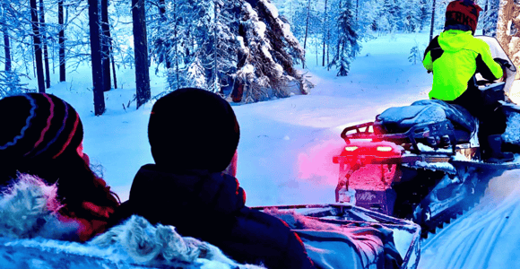 Rovaniemi: Snowmobile Sleigh Ride in Forest Entry Ticket