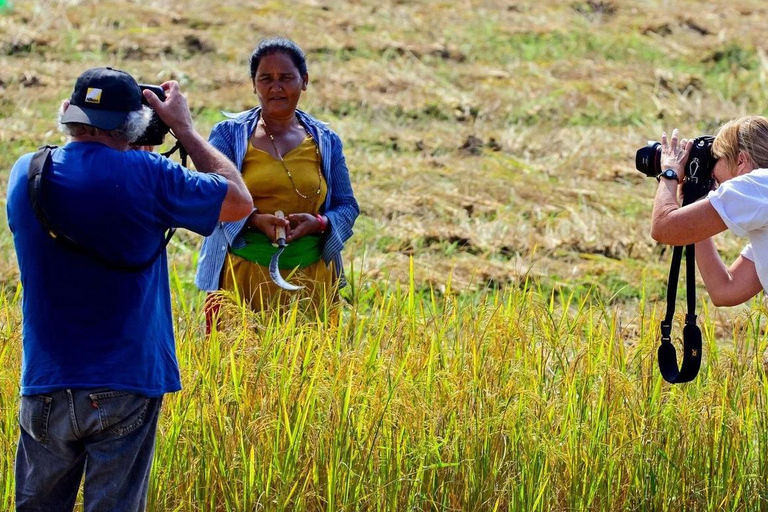 From Pokhara: Syangja Sirubari 4-Day Village Homestay Tour