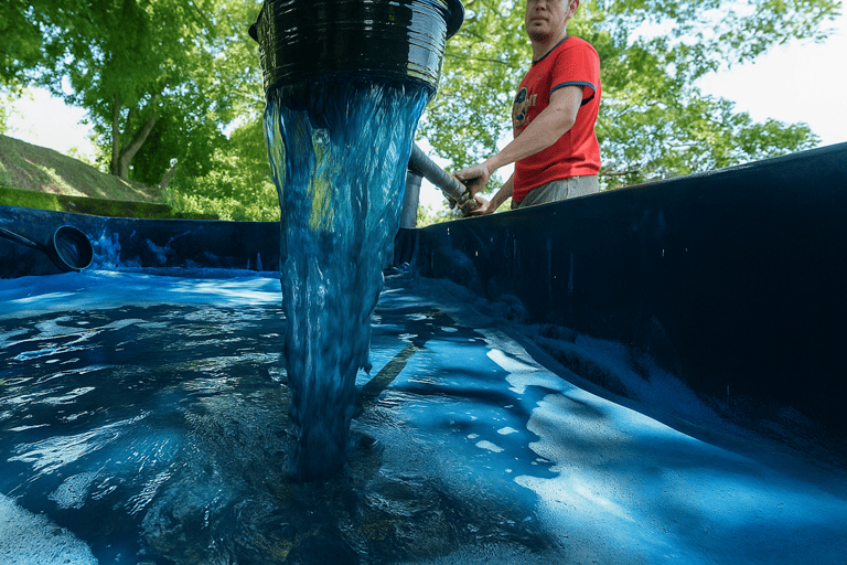 Suchitoto: City tour + Indigo Workshop & Sunset Lake