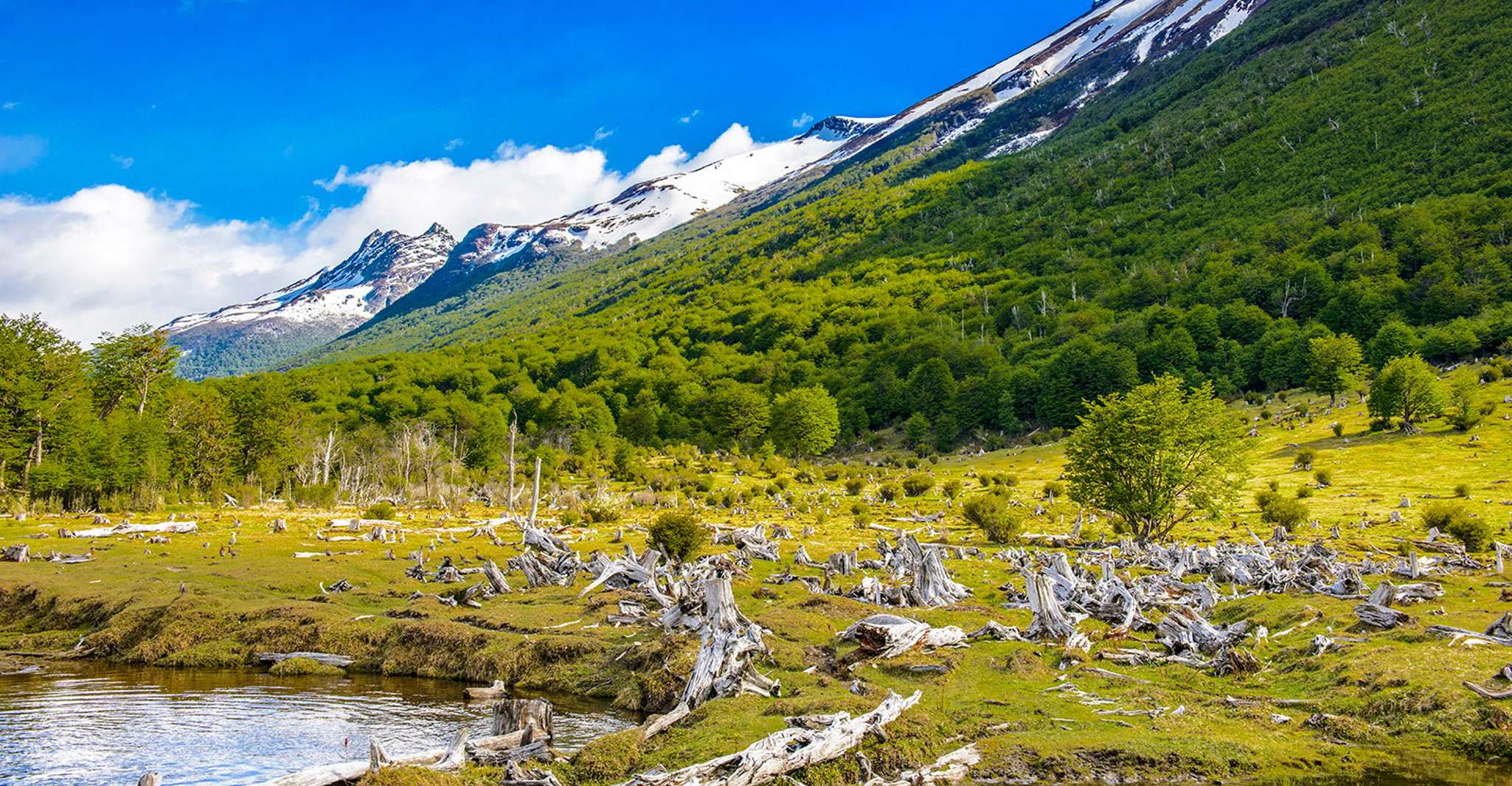 Ushuaia, Shared Experience "Tierra del Fuego" National Park - Hizvo