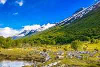Ushuaia, gemeinsame Erfahrung 
