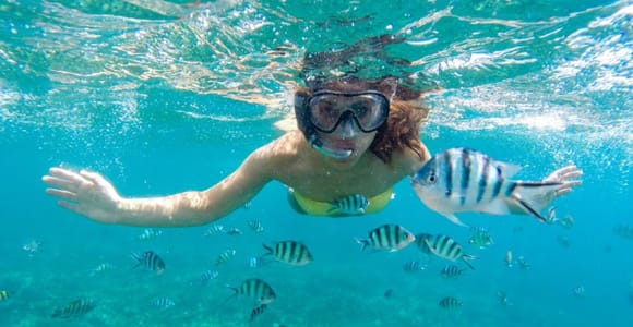 Cartagena: Dive around the shipwrecks of Barú Island