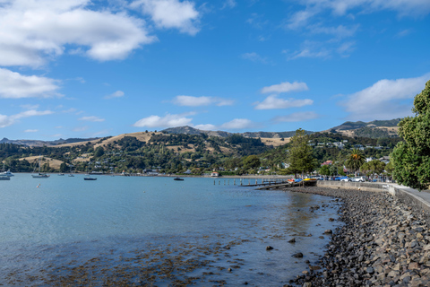 Akaroa Day Tour From Christchurch with Giants House