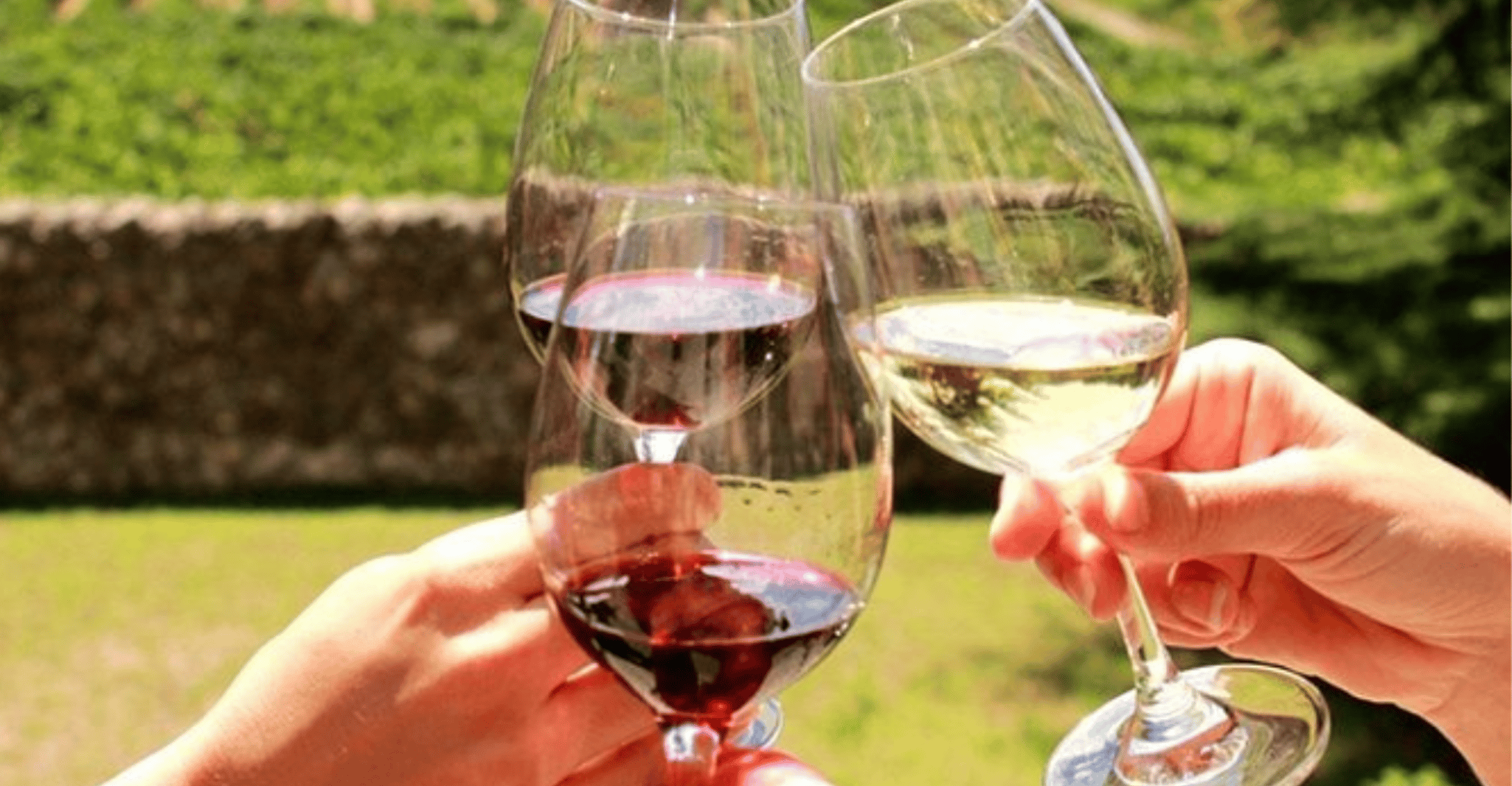 Stellenbosch, Half-Day Wine Tour - Housity