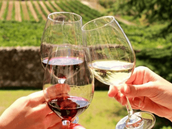 Stellenbosch Half-Day Wine Tour