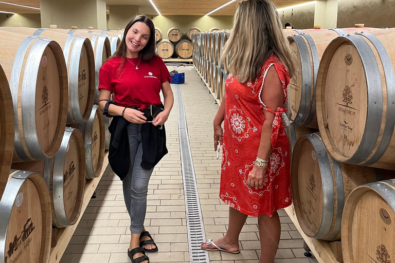 From Athens: Nemea Wine Tour with Corinth Canal Stop