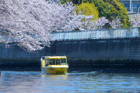 Tokyo: Cherry Blossom River Cruise on Private Boat (Private Boat) 75min Cruise from Tennōzu Pier