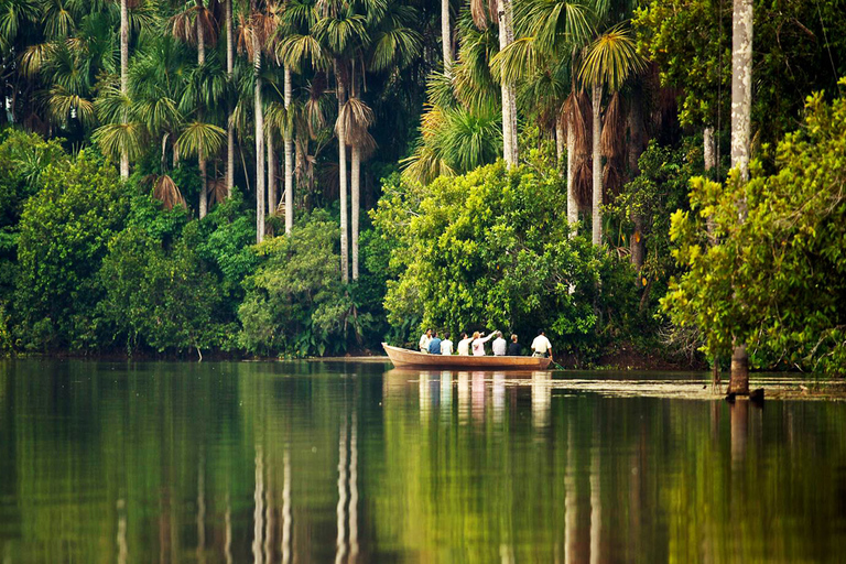 Puerto Maldonado: Reserva Nacional de Tambopata 4-dniMadre de Dios: Kultura i przygoda 4 dni