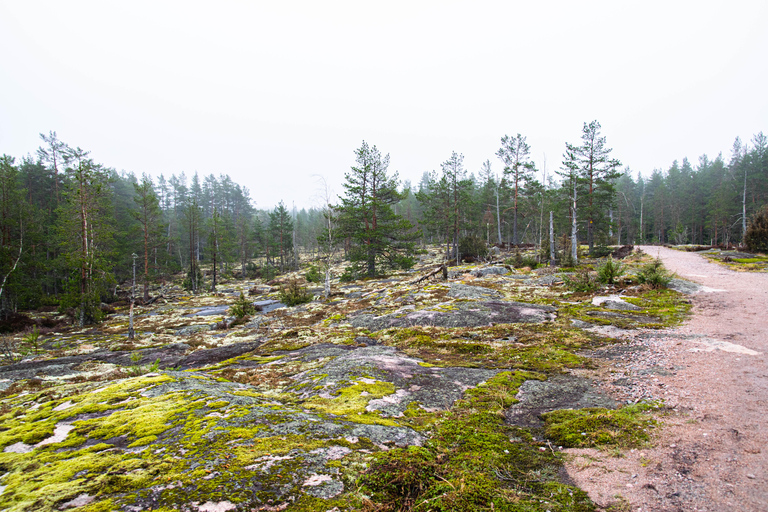 Nuuksio National park hiking experience from Helsinki