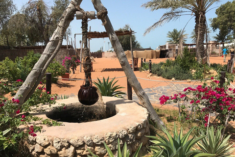 Abu Dhabi: Layover Sightseeing Tour with Airport Pickup