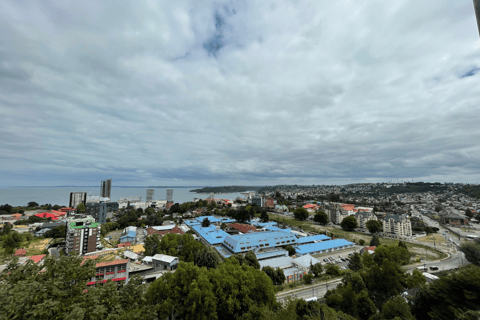Puerto Varas: Half-Day City Tour, Puerto Montt Included