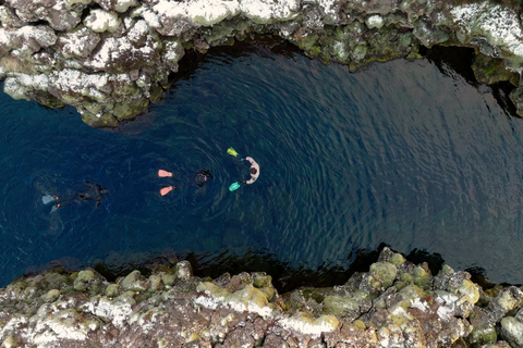 Reykjavik Combo: Horse Riding & Snorkeling in Silfra Fissure