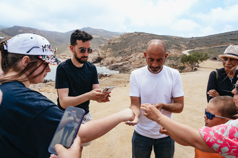 Mykonos: Całodniowe safari w terenie