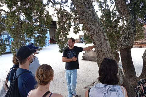 Lisbon: Évora (w/ Cathedral & Bones), Cartuxa & Cork Factory