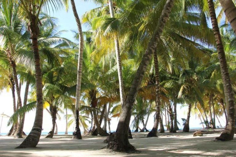 Private: Full-Day Excursion from Chavón & Saona Island