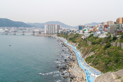 Busan: City Tour of 3 Historic Neighborhoods by Public Bus