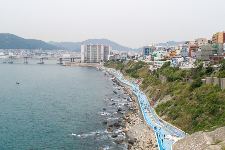 Busan: City Tour of 3 Historic Neighborhoods by Public Bus