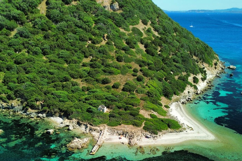 Golfo Aranci: Dolphin-watching tour on a luxury RIB boat with skipper Golfo Aranci: Dolphin-watching tour on a luxury RIB with skipper