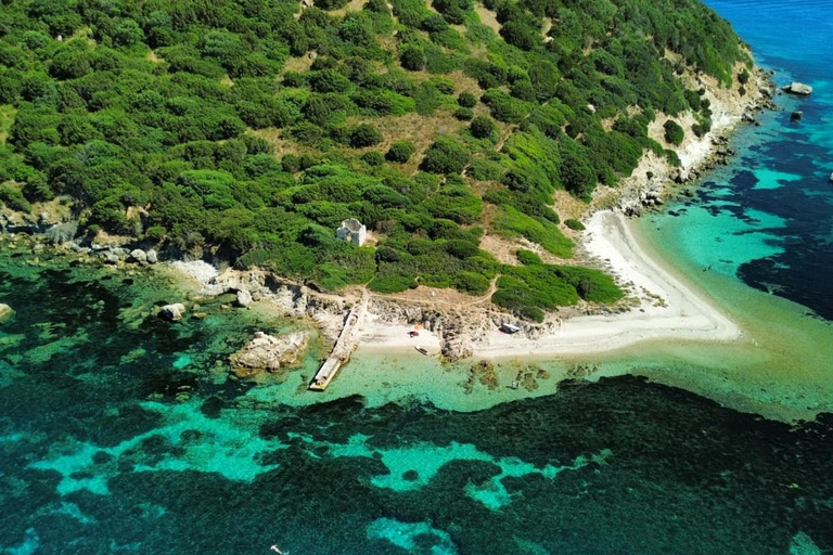 Golfo Aranci: Dolphin-watching tour on a luxury RIB boat with skipper Golfo Aranci: Dolphin-watching tour on a luxury RIB with skipper