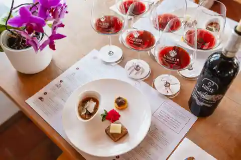 Montalcino: Rundtur på vingård och vertikal provsmakning av Gourmet Brunello