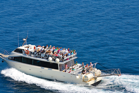 Discover Positano: Scenic Ferry Between Salerno and Positano Positano →→→ Salerno (One Way)