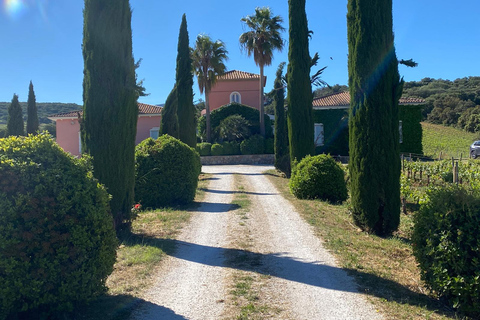 Ronda, Málaga: Winery Tour with Wine Tasting and Tapas