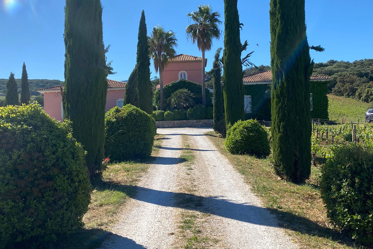 Ronda, Málaga: Winery Tour with Wine Tasting and Tapas