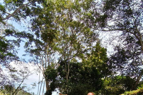 Jinja Trip with Agrotourism, Victoria Cruise & The Nile