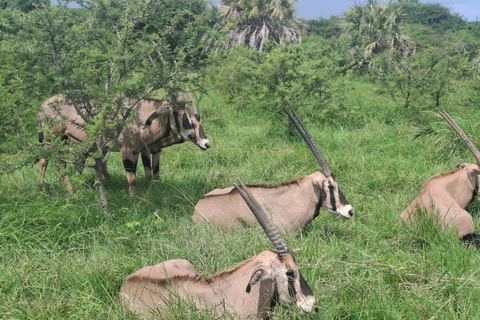 Mombasa: City Tour and Nguuni Nature Sanctuary Day Trip